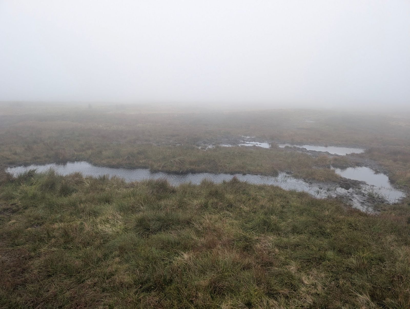 Pools of standing water in rough, boggy grass, with mist hiding the moor beyond.