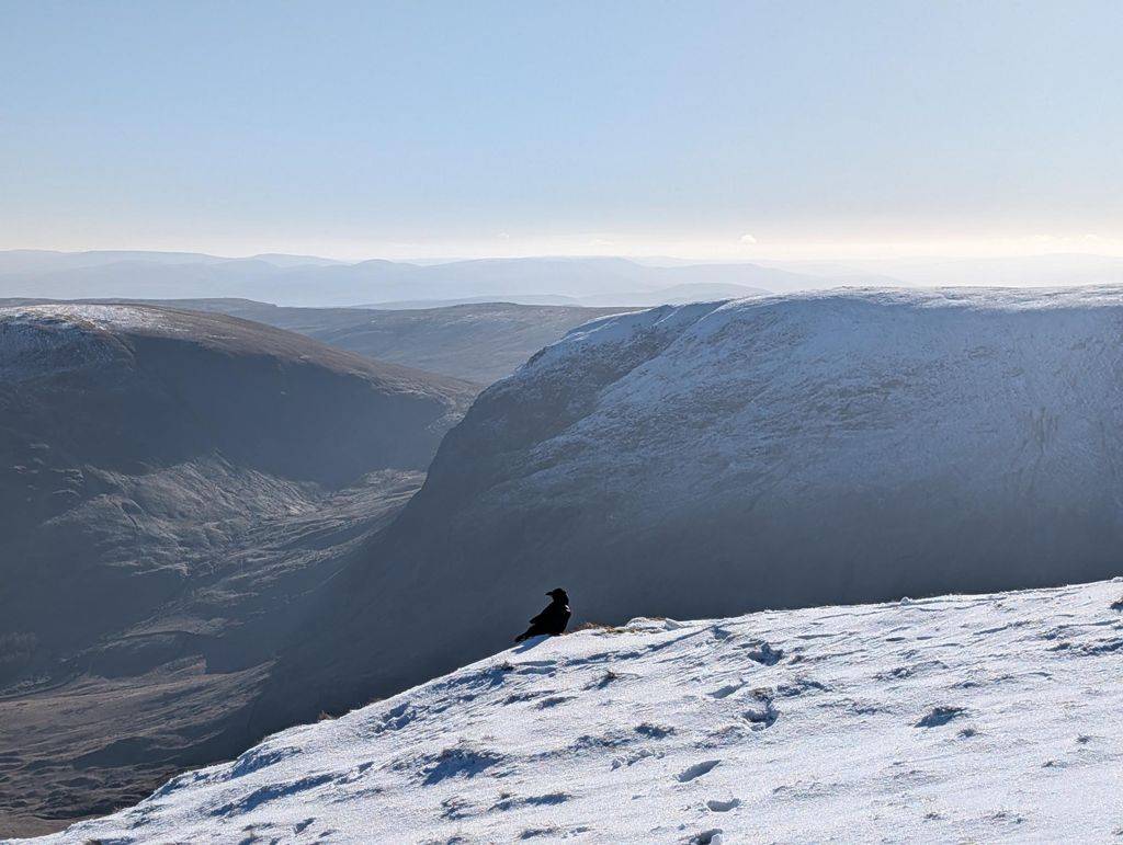 High Street - a raven perched on a snow-covered slope, a deep valley and snow-dusted fells falling away beyond