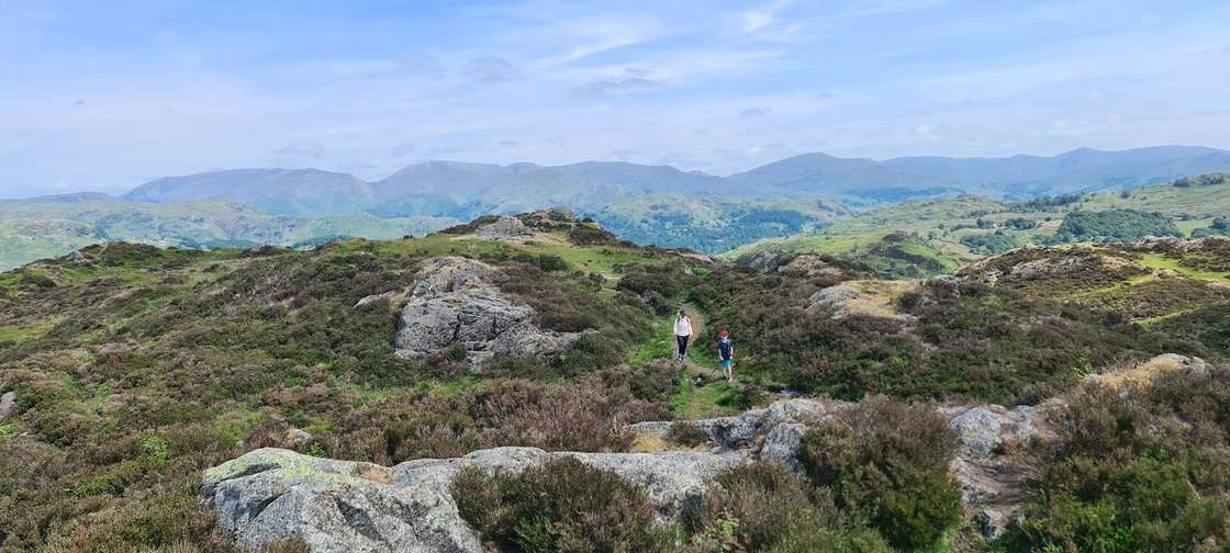 Holme Fell - two walkers on a path through heathery rocky knolls, hazy fells stretching across the horizon beyond