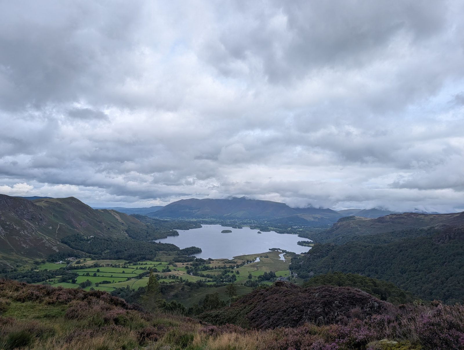 Purple heather in the foreground, with Derwent Water and the fells around it below a cloudy sky