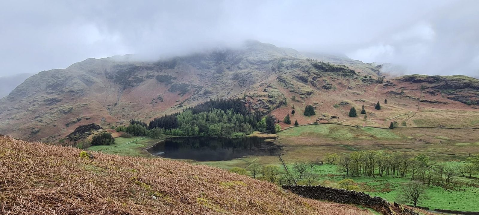 A small tarn edged with trees in a green valley below a bracken slope, with cloud resting on the craggy fells above.
