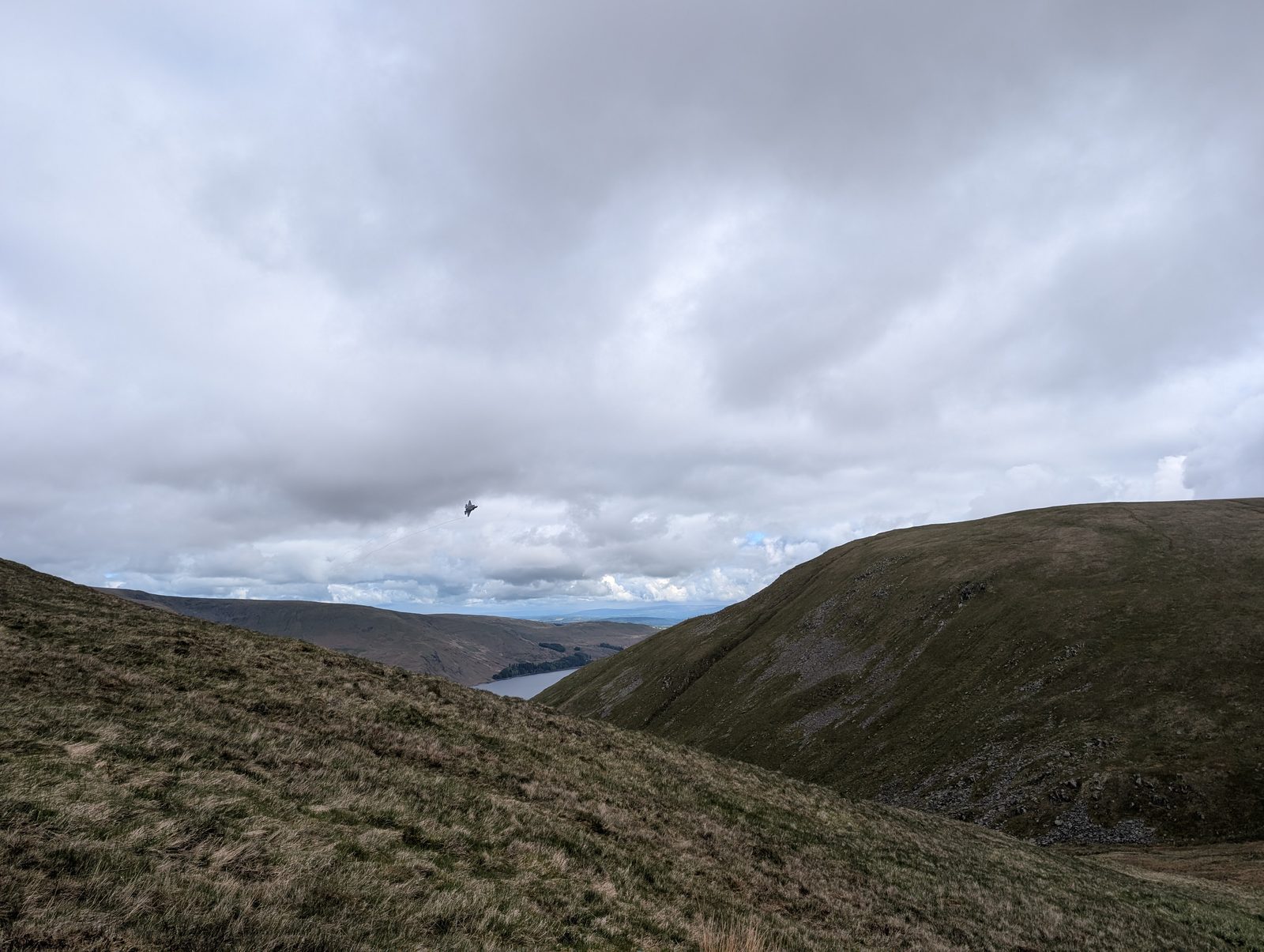 A grassy slope falling away to a distant lake, with a bird of prey against grey cloud above