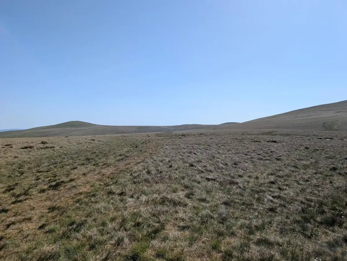 Mungrisdale Common - a vast, flat expanse of rough grassy moorland rolling to low rises under a clear pale sky
