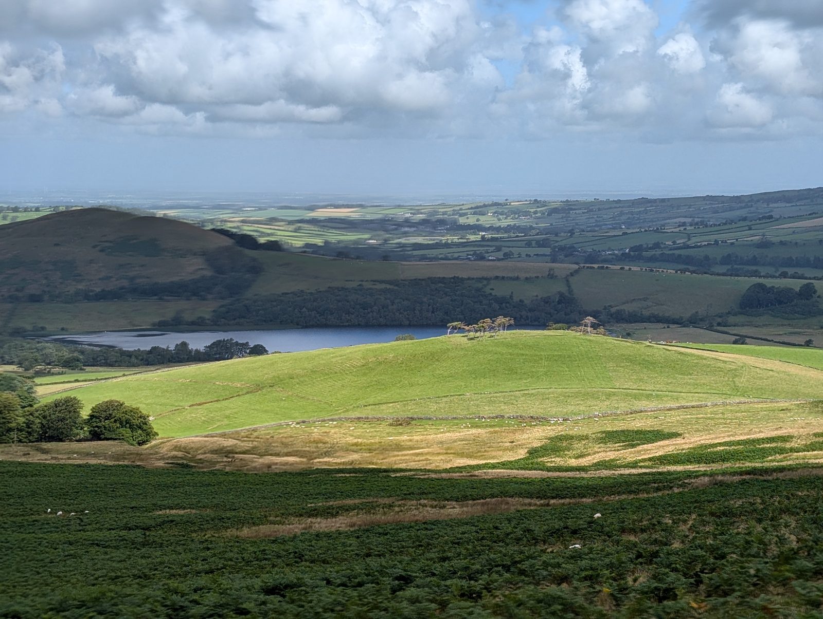 Bracken and rough pasture running down to a small lake, with a rounded green hill and patchwork fields beyond