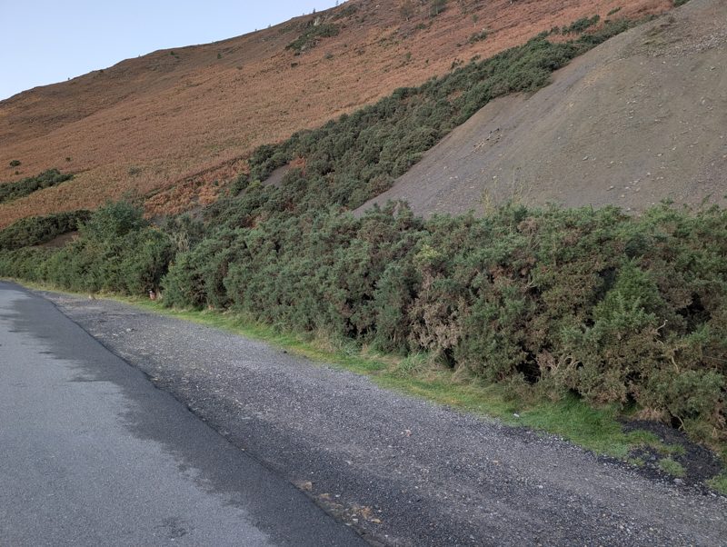 A wide gravel verge beside the road below a gorse bank and a scree slope