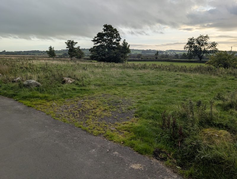 A grassy pull-off beside the lane, with open fields beyond