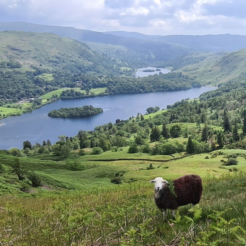 A classic Lake District view of fells above a lake