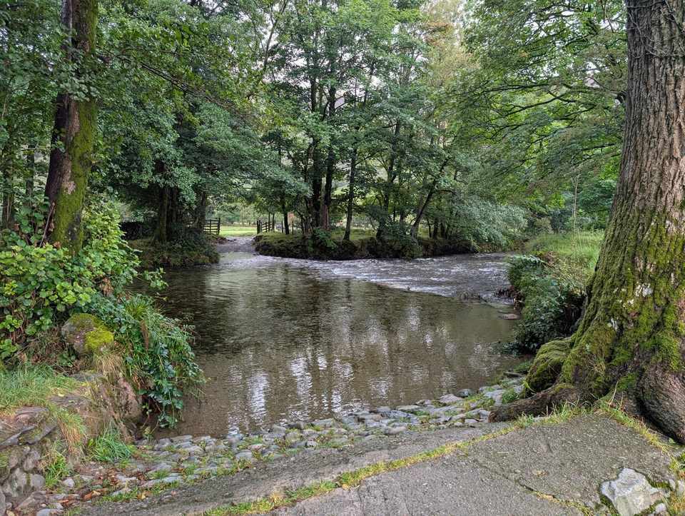 A clear, shallow river running between trees at Rosthwaite, a stony bank and a mossy trunk in the foreground and a wooden gate across the field beyond