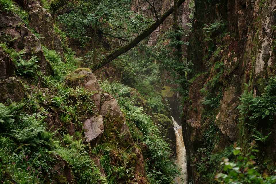 Stanley Ghyll Force in its deep, fern-hung Eskdale gorge