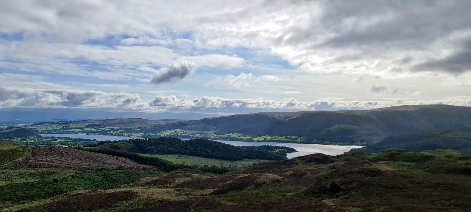 Ullswater winding away between low heather-covered fells, with forestry plantations and green fields along its shores under a heavy grey sky