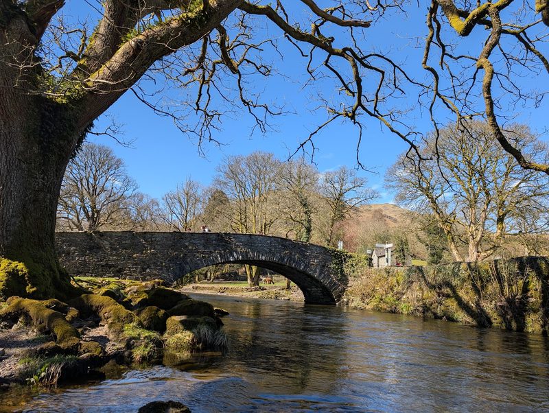 Pelter Bridge, a single stone arch over the River Rothay, seen from the riverbank beneath the branches of an old oak, with a fingerpost and a stone cottage at its far end