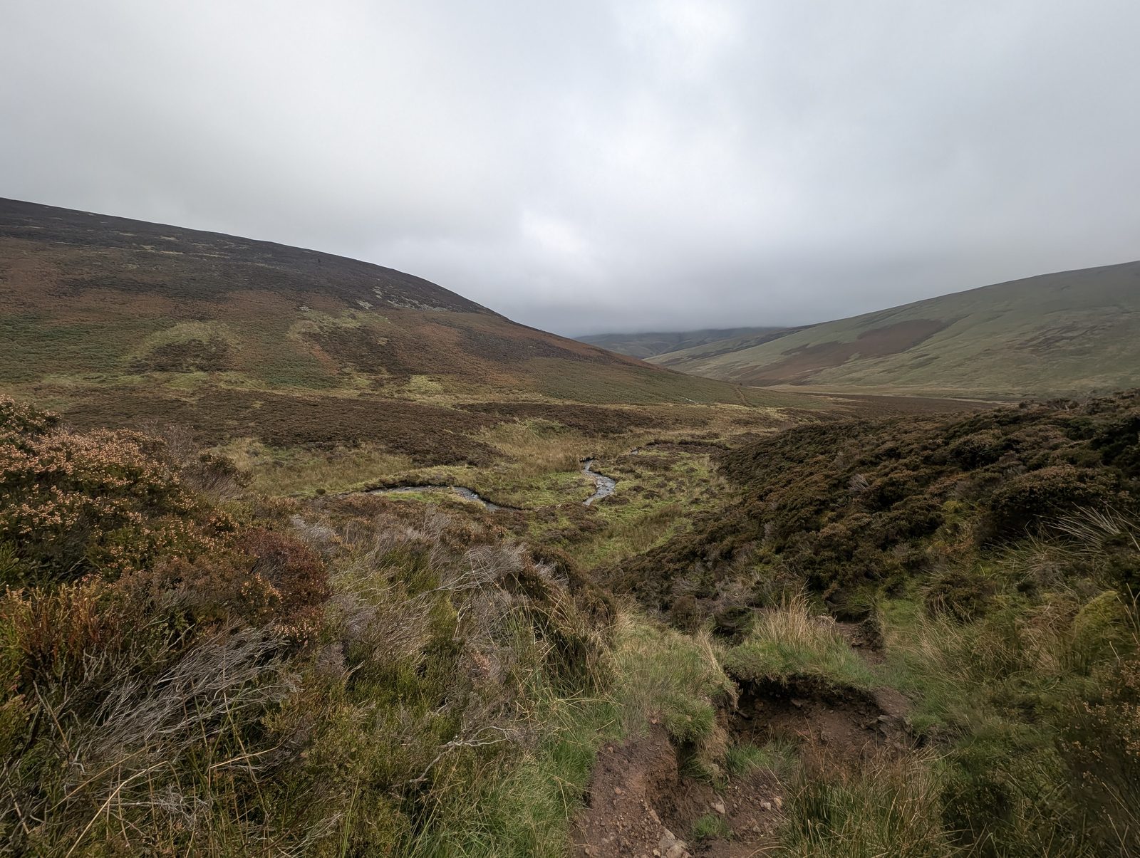 A worn path dropping through heather towards Wiley Gill, the valley beyond under low cloud