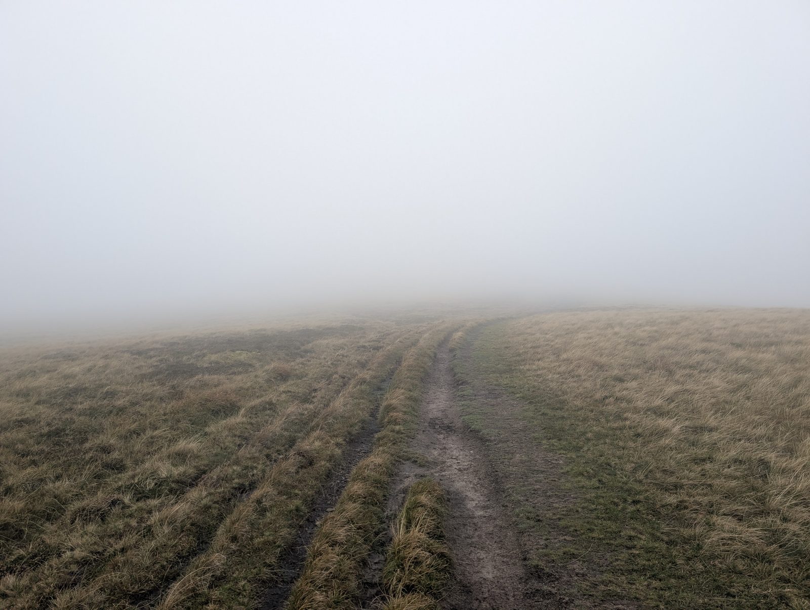 A muddy track worn into the grass, running on into the mist towards High Pike