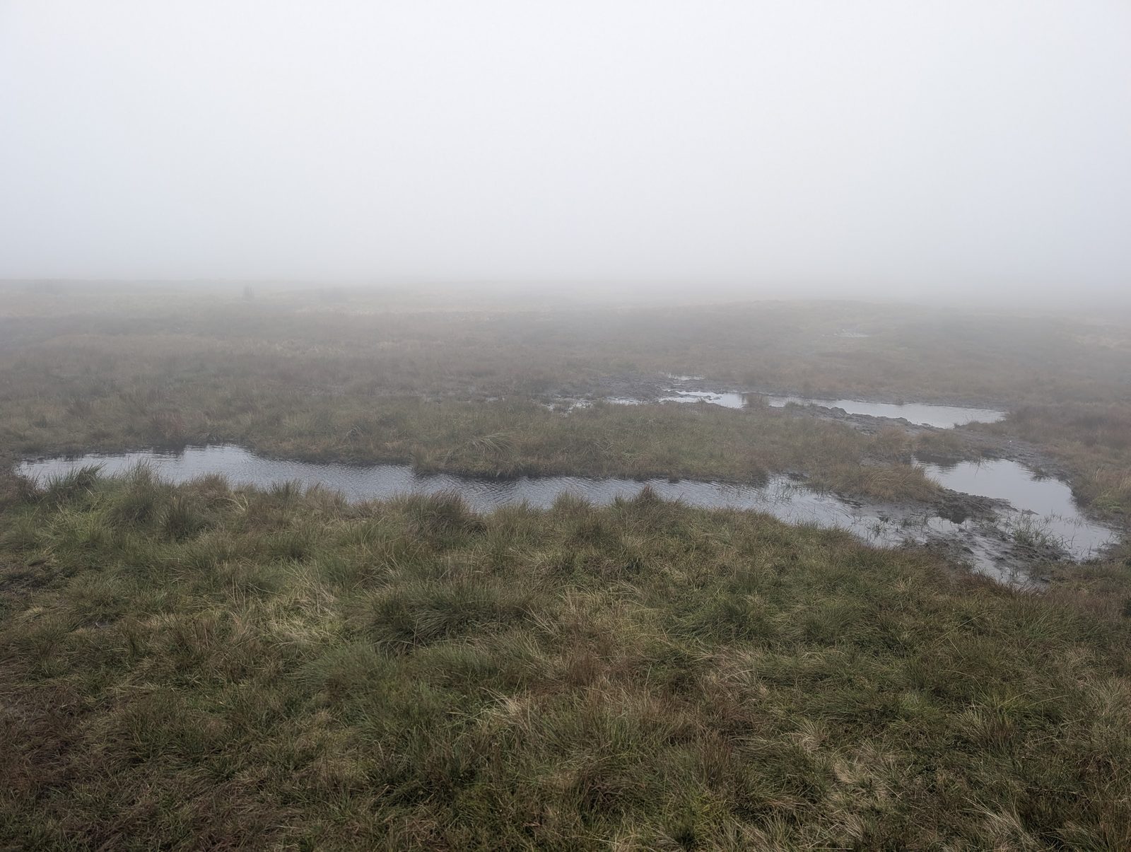 Pools of standing water in the rough grass of the moor south of High Pike, in mist