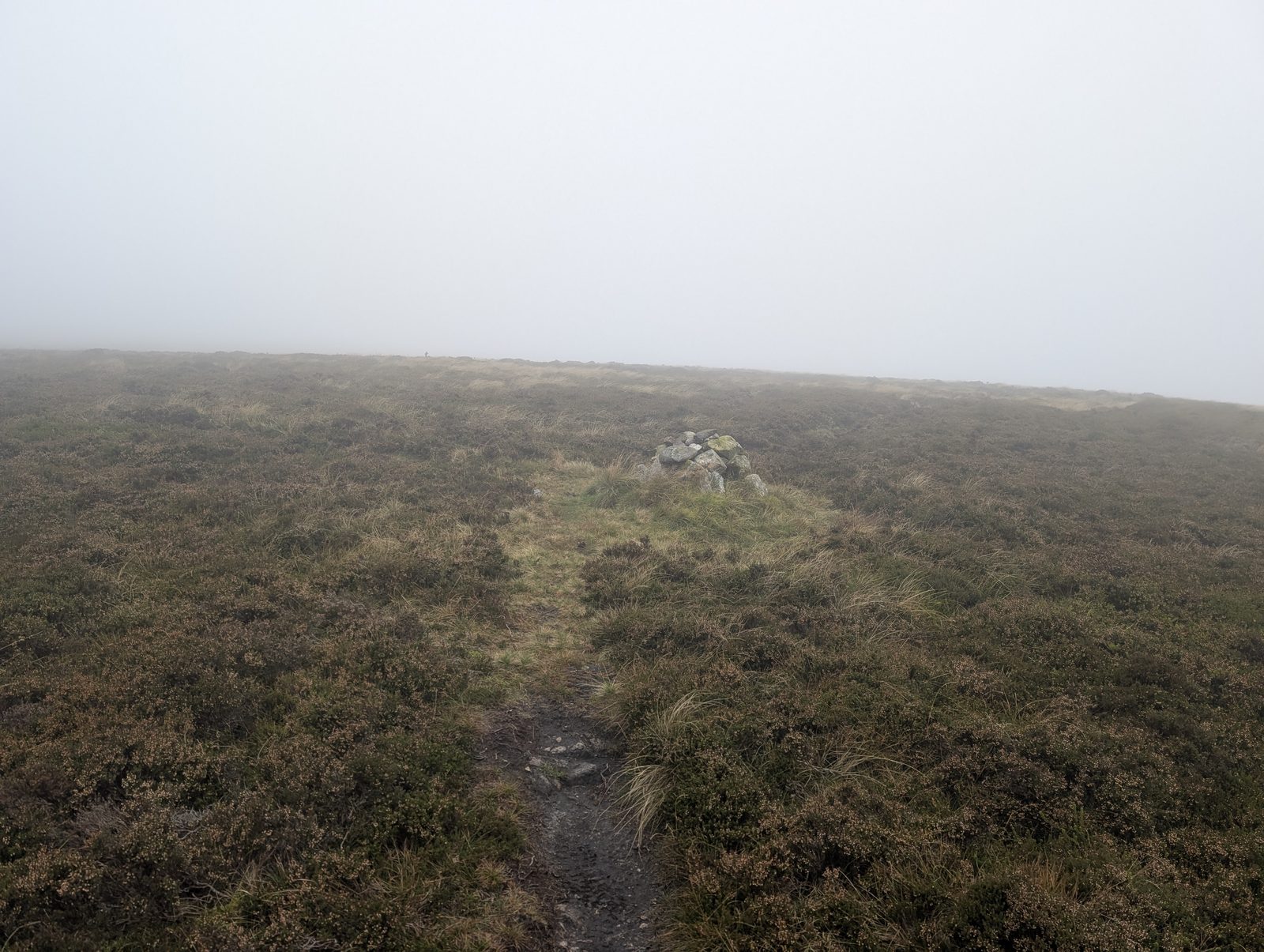 A narrow path through heather to a small cairn on Great Lingy Hill, in mist