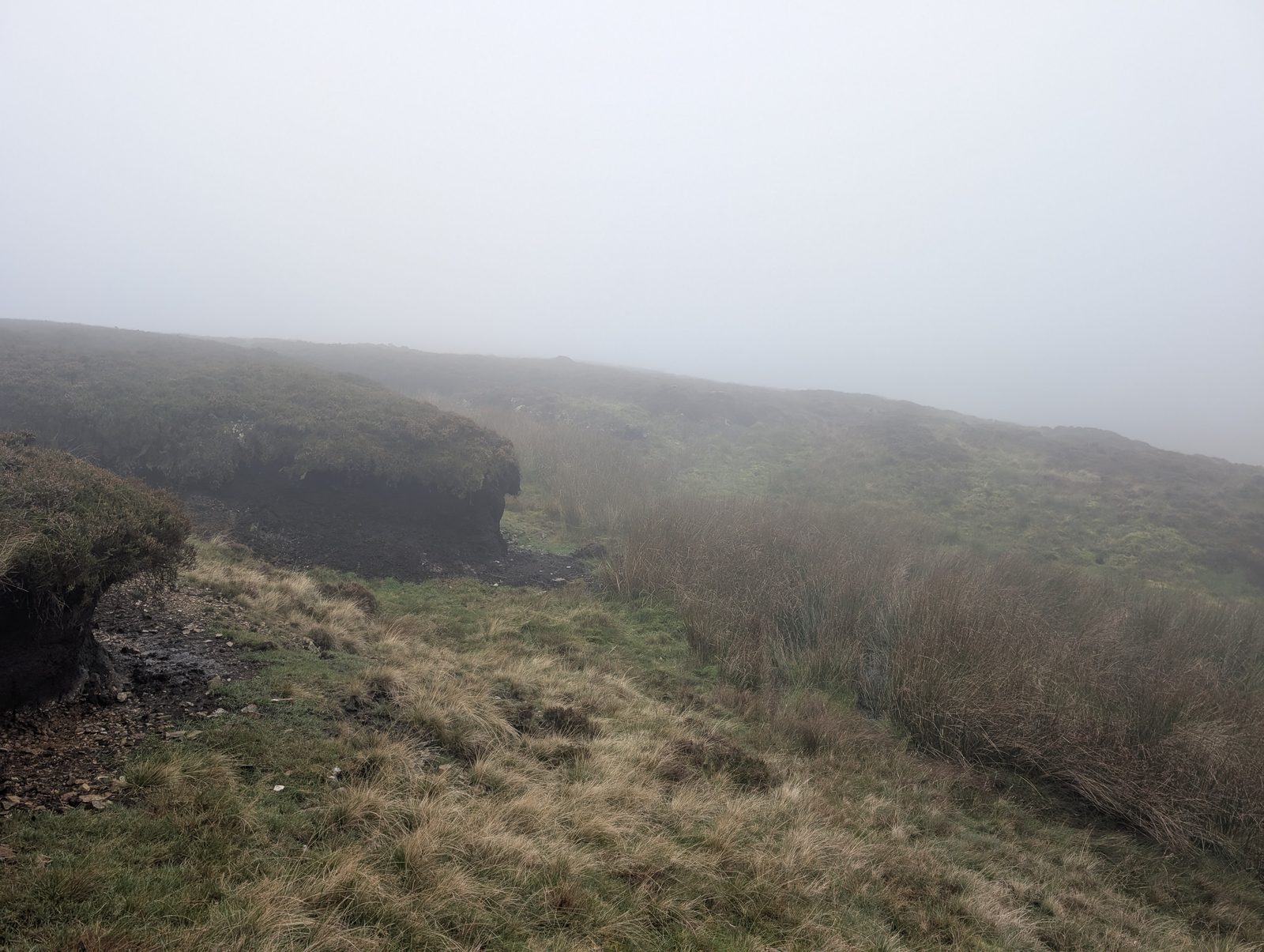 A dark bank of peat beside a grassy trod on the way to Knott, the slope fading into mist