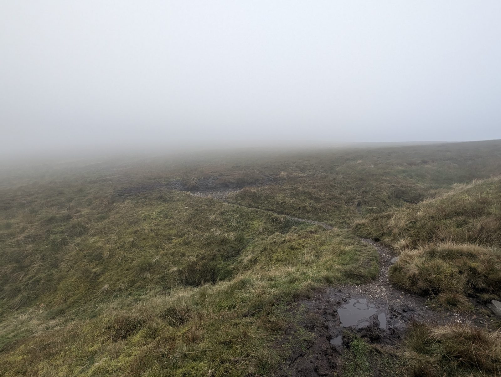 A muddy path crossing the boggy ground between Knott and Great Calva, in mist