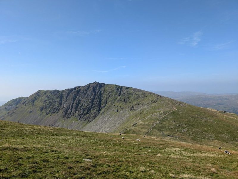 A broad summit with a wall of dark crag and scree falling from its ridge, a thin path climbing the grassy shoulder to the right and sheep on the turf in front