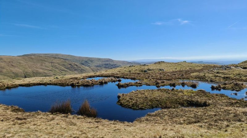 A shallow ridge-top tarn with grassy islands and tussocks, its dark water still under a clear blue sky, with a broad fell beyond