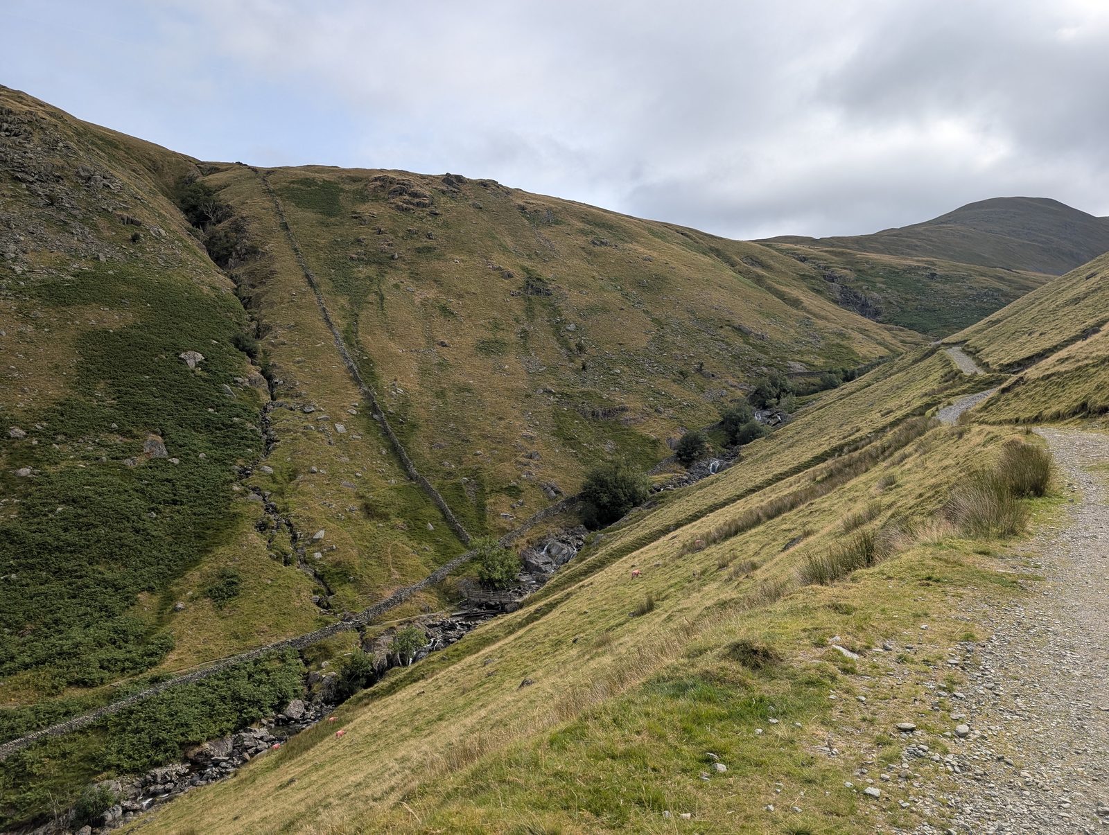 The track climbing above the beck towards Hayeswater, the fells of the dalehead rising ahead