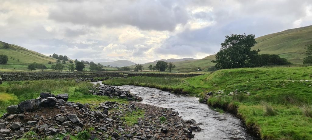 A rocky beck running fast down a green valley between grassy fellsides, with willows crowding the near bank under a grey sky
