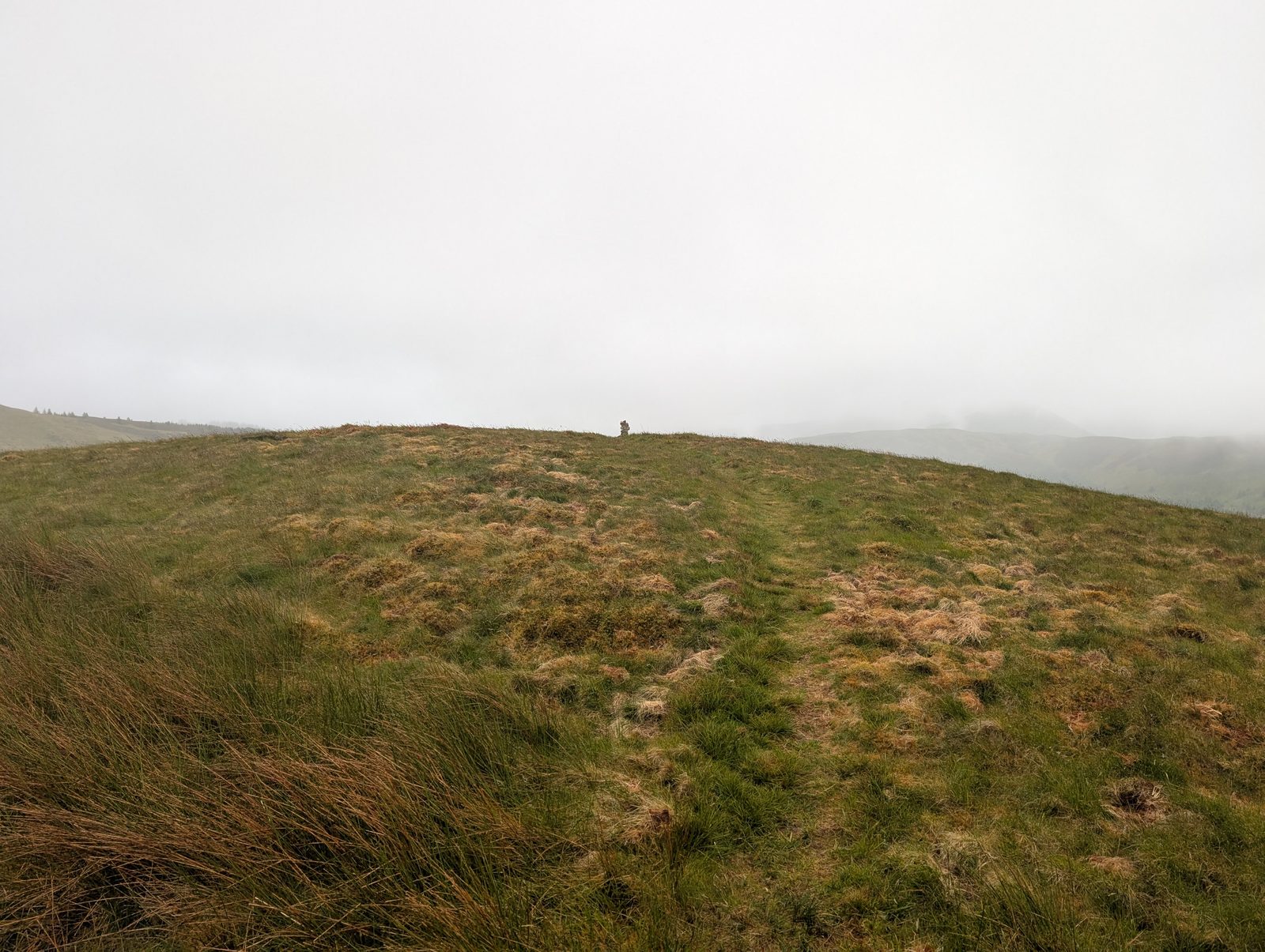 A broad, featureless grassy dome rising gently into low cloud, with a tiny cairn just breaking the skyline and rough tussocks below