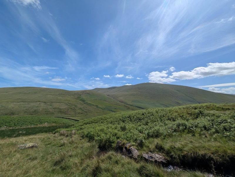 A rocky beck running fast between banks of heather and rough grass, with a single windblown tree and the smooth grassy back of the fell rising beyond
