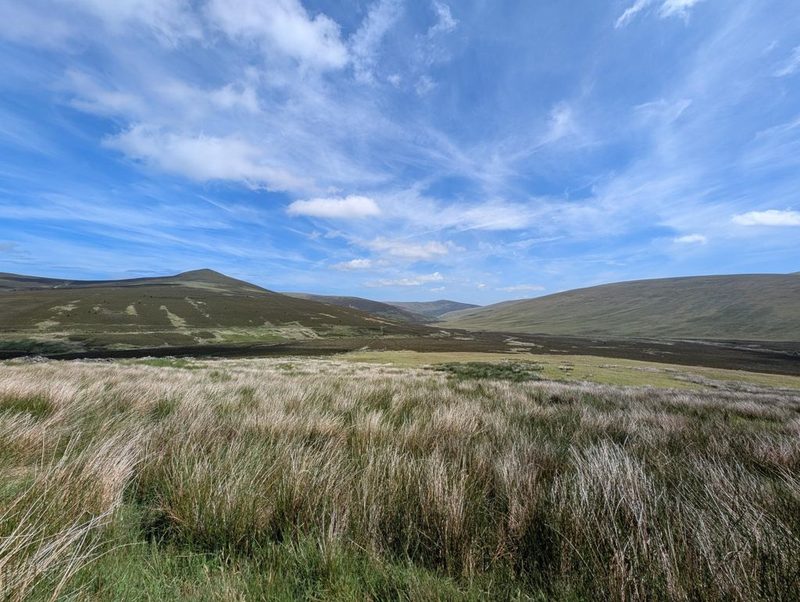 Tussocky moorland grass in the foreground with the broad empty flanks of the Skiddaw group rolling away to a distant conical top
