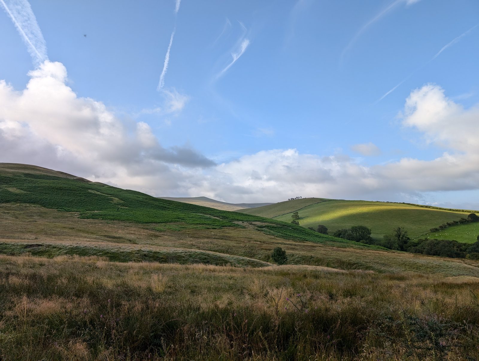 Smooth green fells rising above rough grass and heather, with sunlit pasture and hedged fields running up the valley side beyond