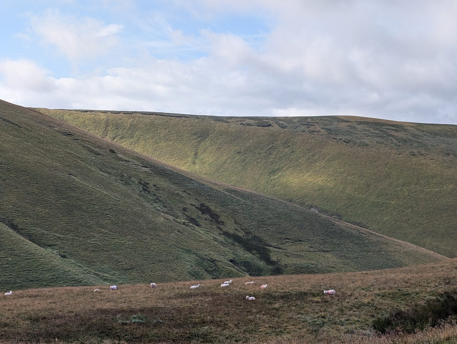 A steep grassy fellside scored by a deep gill, with sheep grazing the moor grass on the near side and cloud shadow crossing the slope