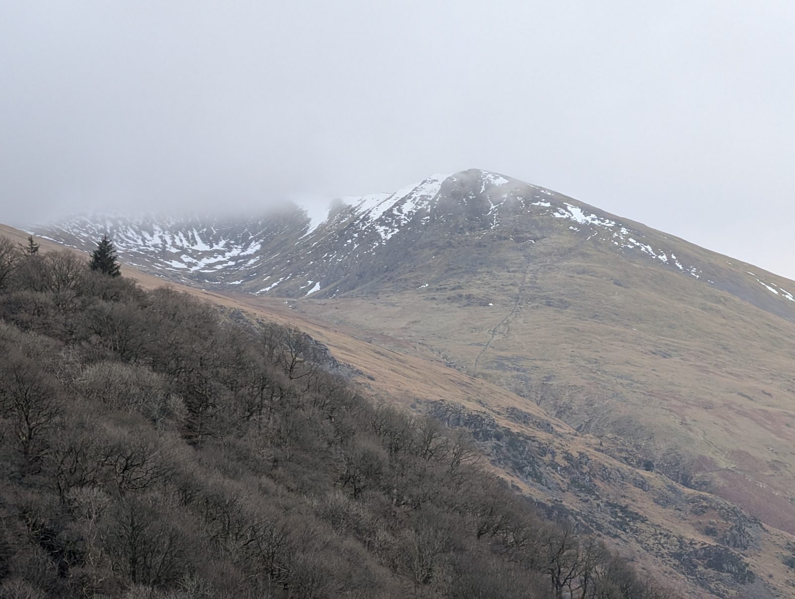 A snow-streaked fell with cloud spilling over its corrie rim, seen above a steep slope of bare winter oak woodland