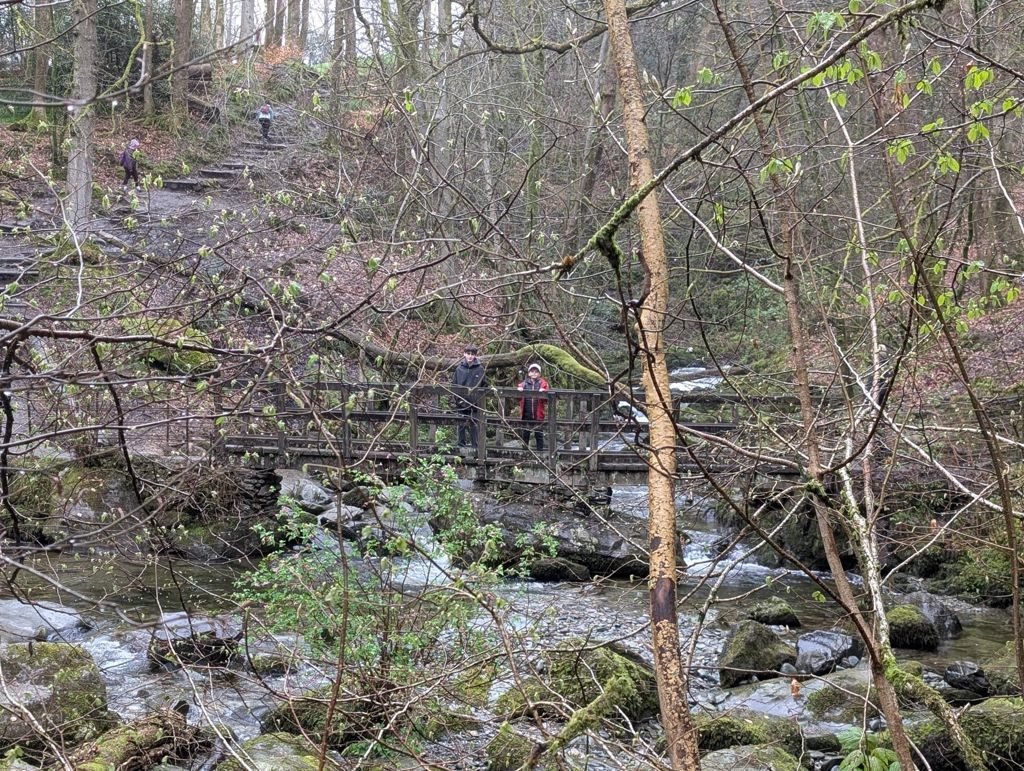 Two people standing on a wooden footbridge over a rocky beck in bare early-spring woodland, with a stepped path climbing the bank beyond