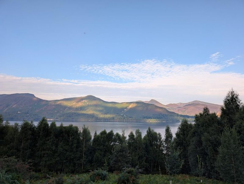 A calm lake beyond a screen of young conifers, with morning sun picking out the green flanks of the fells along the far side