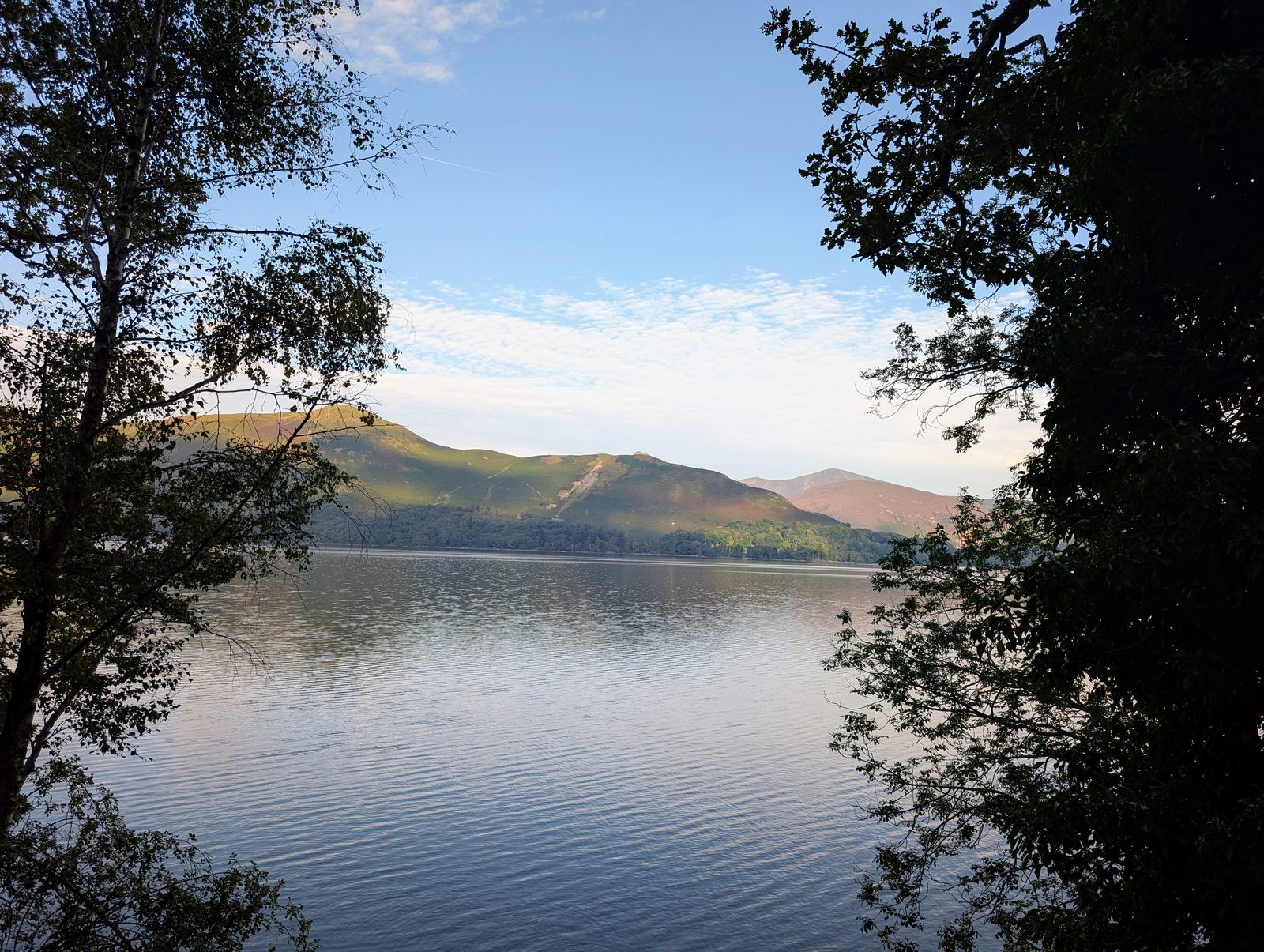 A still lake seen through a frame of overhanging oak and birch, with a long wooded fell catching the low sun on the far shore